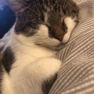 Meet your Posher, Tara